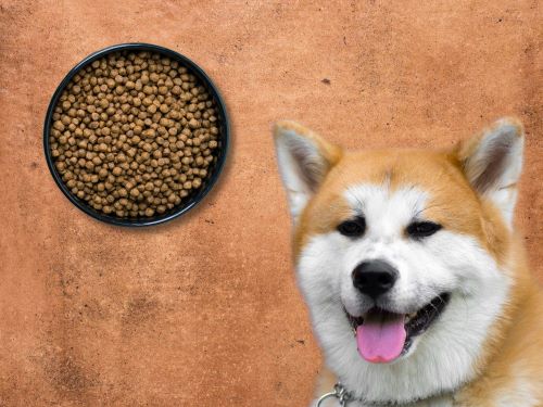 Best Dog Food For Akitas chapter 2