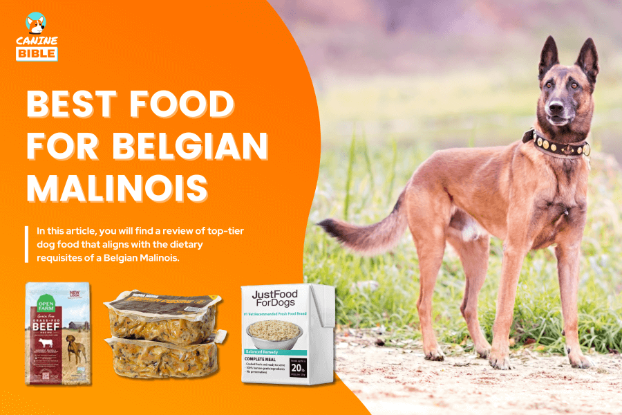 Best Dog Food For Belgian Malinois