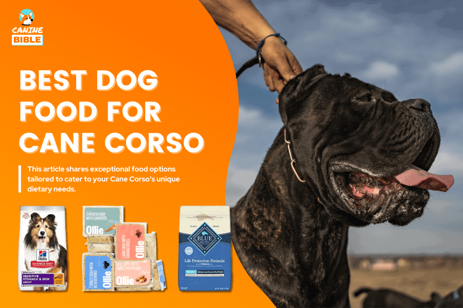 Best Dog Food For Cane Corsos