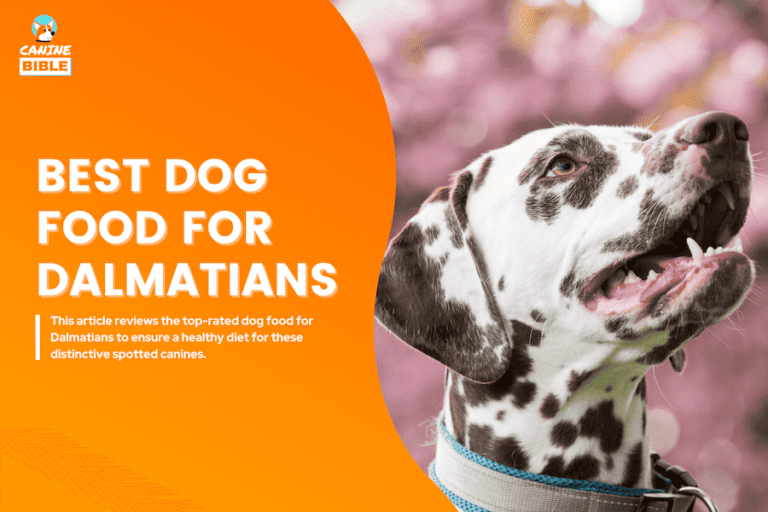 Best Dog Food For Dalmatians