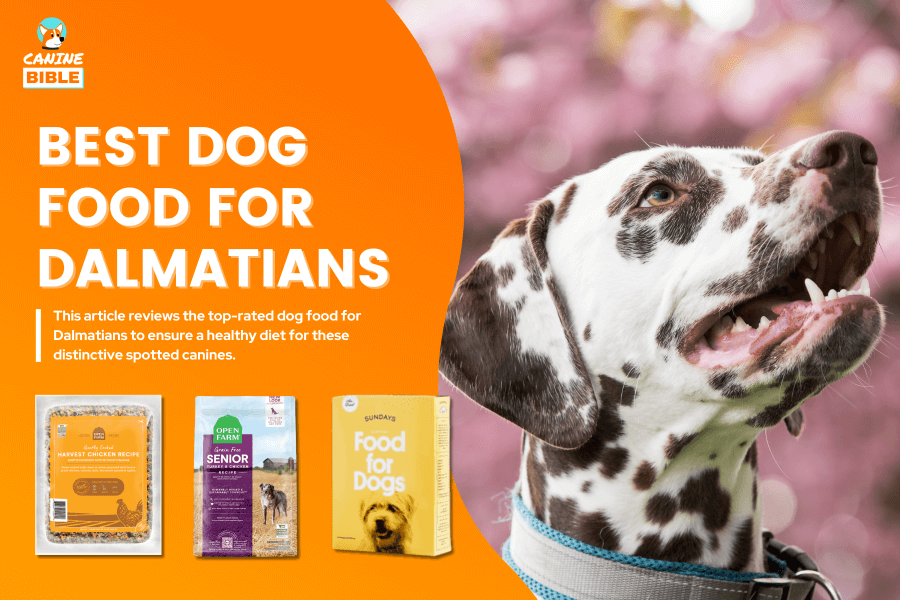 Best Dog Food For Dalmatians