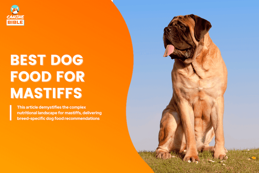 Best Dog Food For Mastiffs