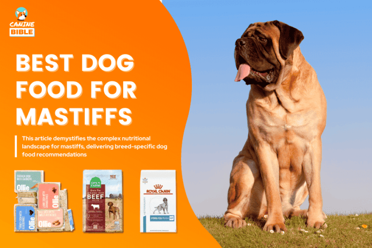 Best Dog Food For Mastiffs