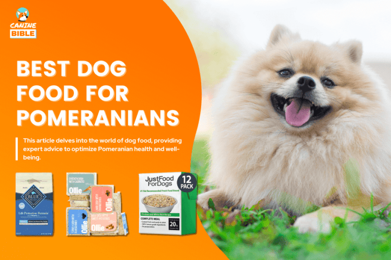 Best Dog Food For Pomeranians 2023: Vet-Recommended