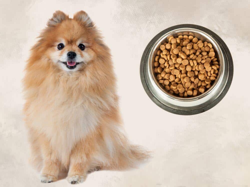 Best Dog Food For Pomeranians chapter 1