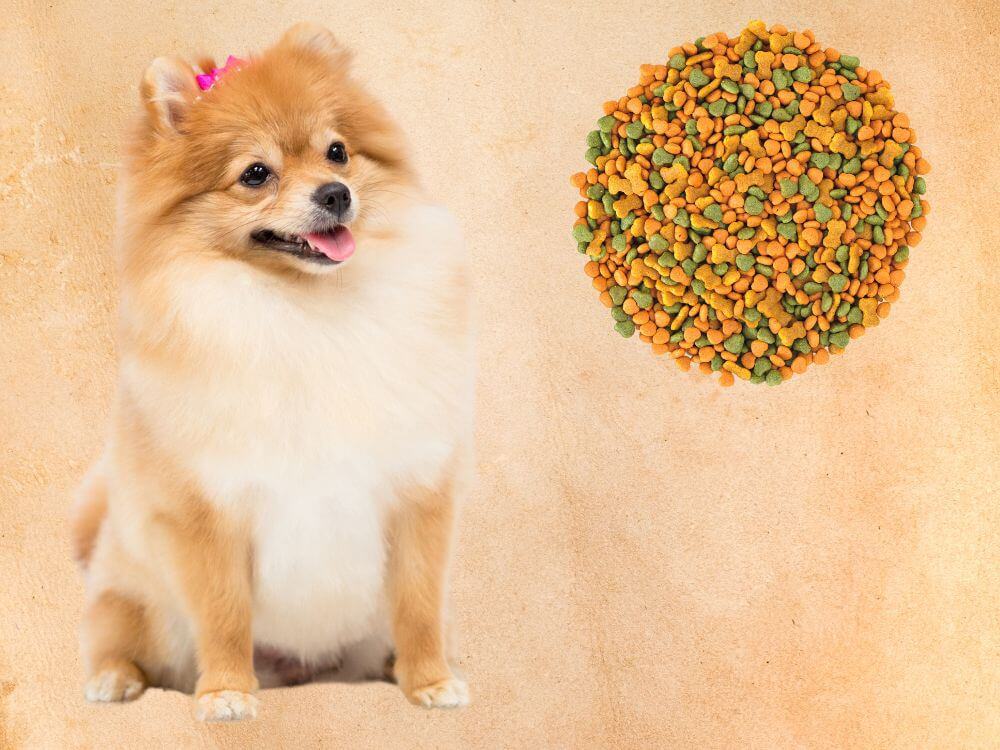 Best Dog Food For Pomeranians chapter 2