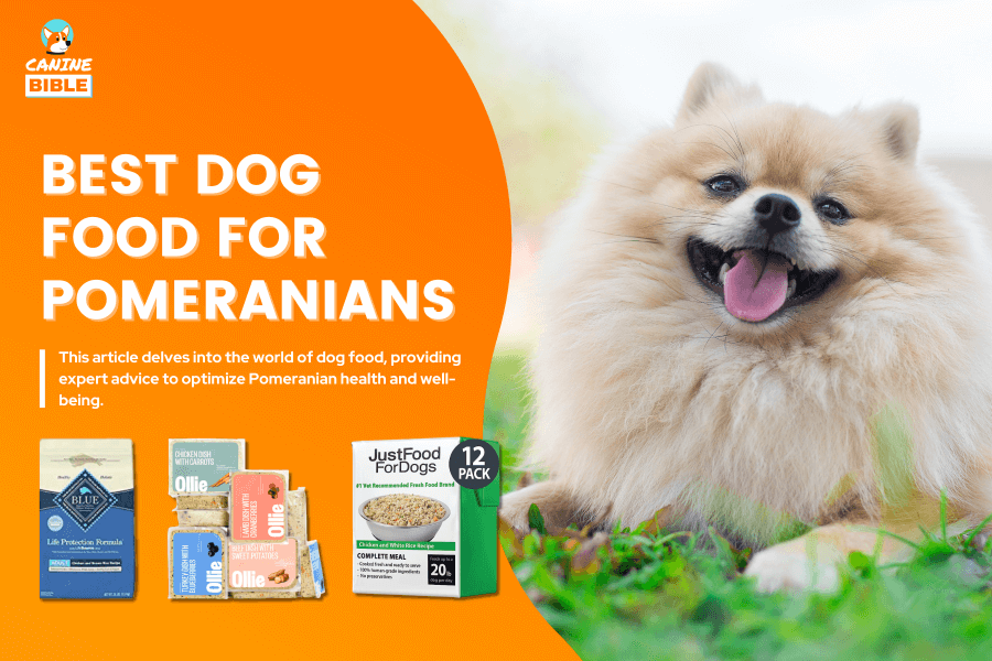 Best Dog Food For Pomeranians