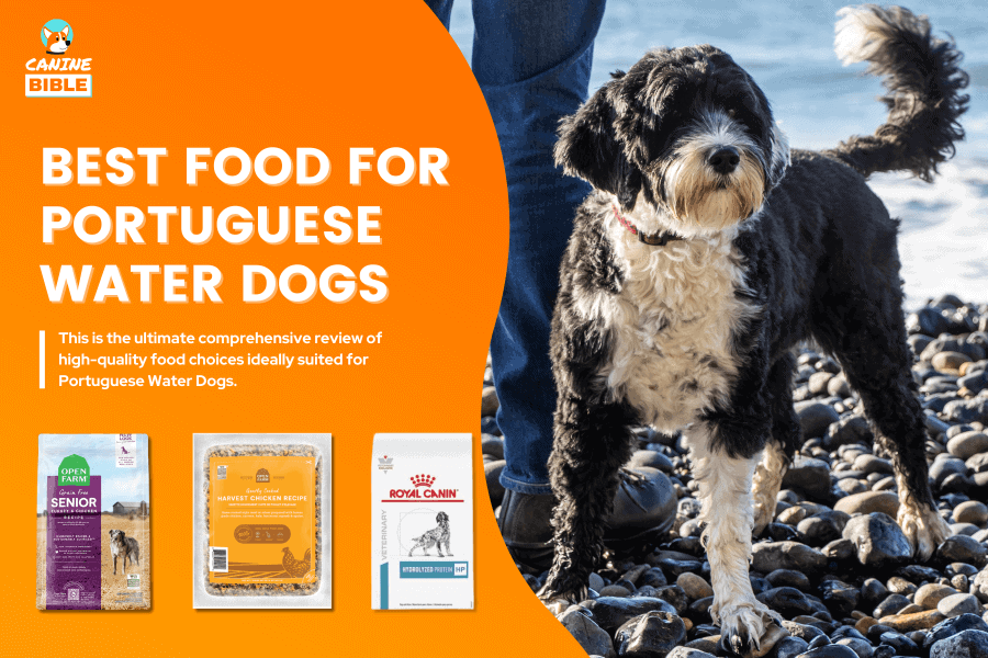 Best Dog Food For Portuguese Water Dogs