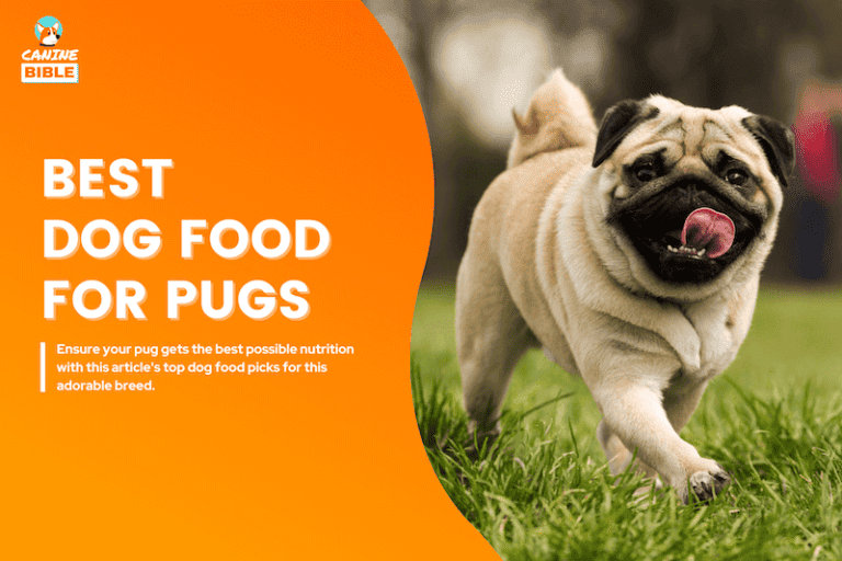 Best Dog Food For Pugs 2024 — Vet Recommended