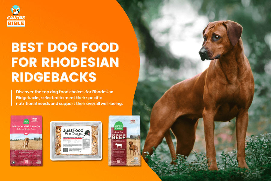 Best Dog Food For Rhodesian Ridgebacks