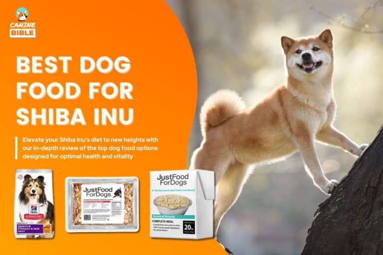 Best Dog Food For Shiba Inus 2024: Top Picks & Reviews