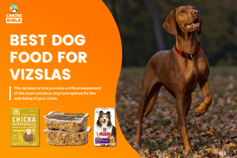 Best Dog Food For Vizslas 2023 — Top Picks & Reviews