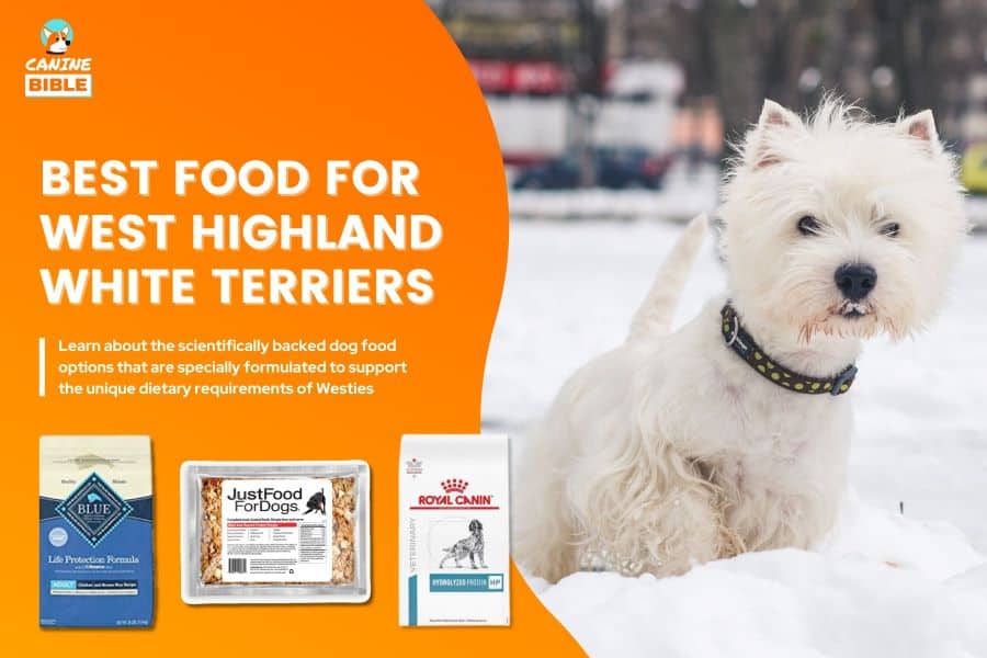 Best Dog Food For West Highland White Terriers