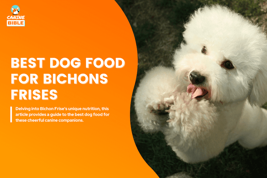 Best Dog Food For Bichons Frises