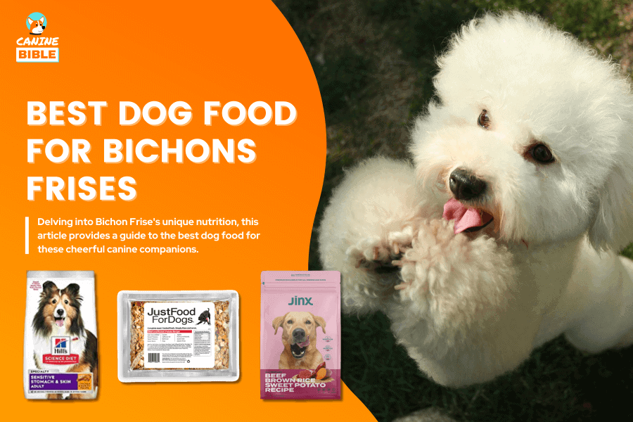 Best Dog Food For Bichons Frises