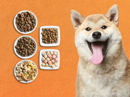 Best Dog Food For Shiba Inu Chapter 1