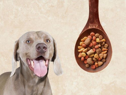 Best Dog Food For Weimaraners chapter 3