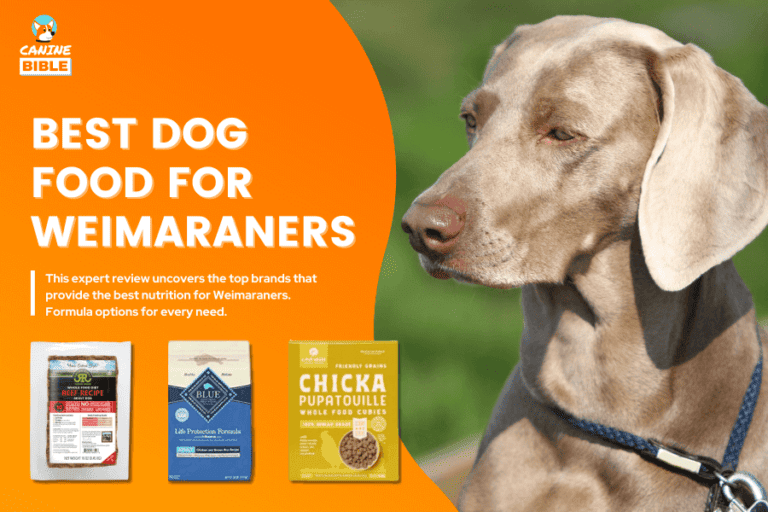 Best Dog Food For Weimaraners — 2023 Top Picks