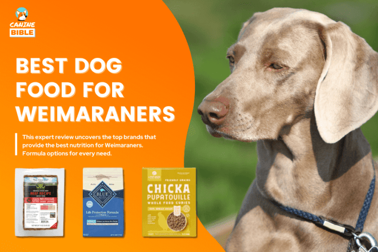 Best Dog Food For Weimaraners