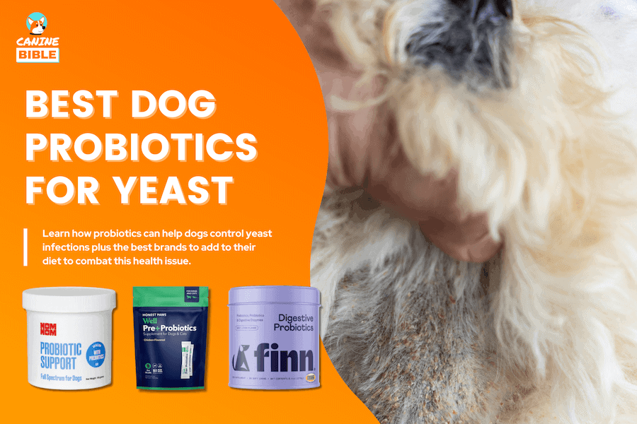 best dog probiotics for yeast