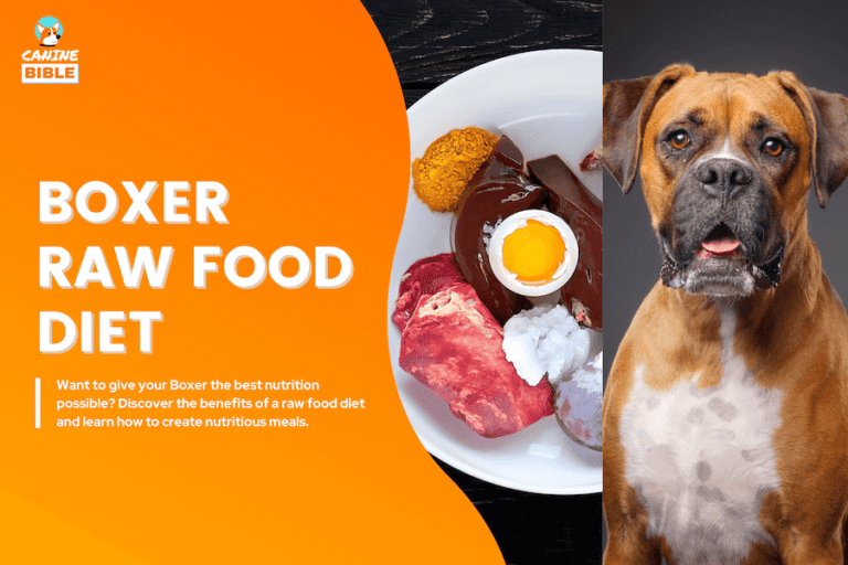 boxer raw dog food diet