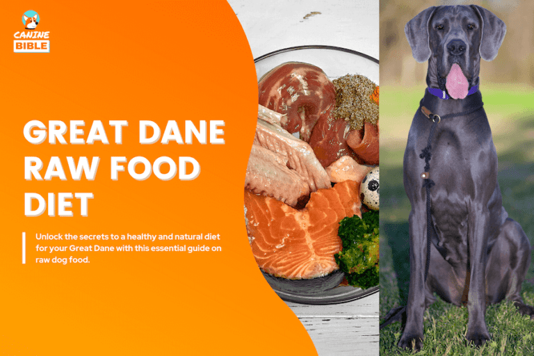 great dane raw dog food diet