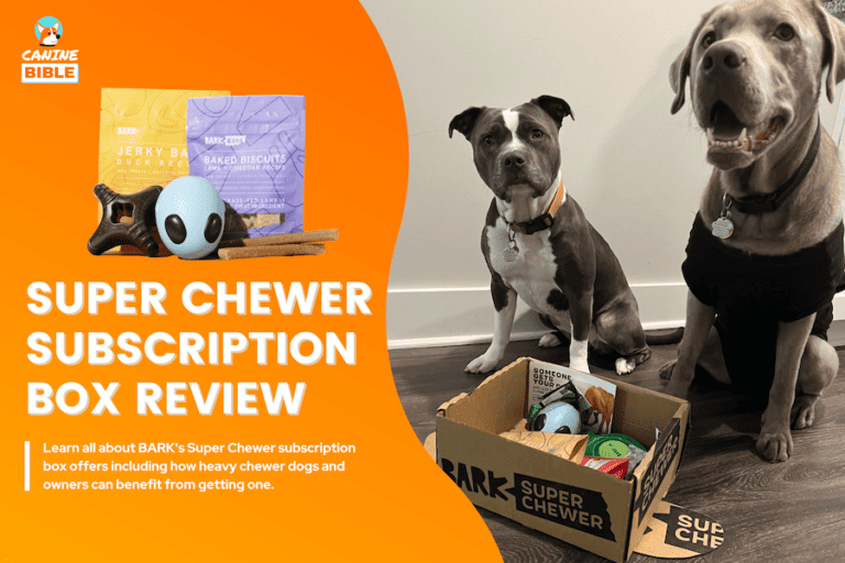 Super Chewer BarkBox Reviews 2023: Price, Unboxing, Pros, Cons & FAQs