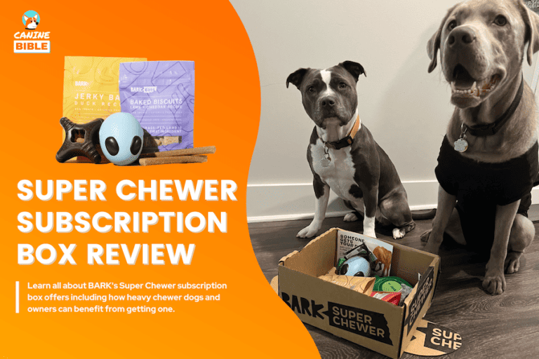 super chewer barkbox review