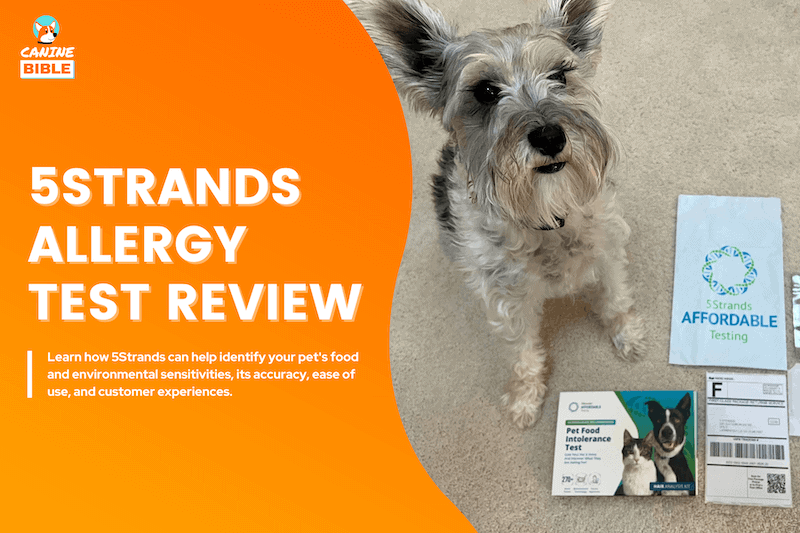 5Strands dog allergy test review