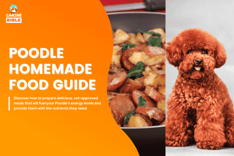 Best Homemade Dog Food Recipes For Poodles [Puppy & Adult Guide]