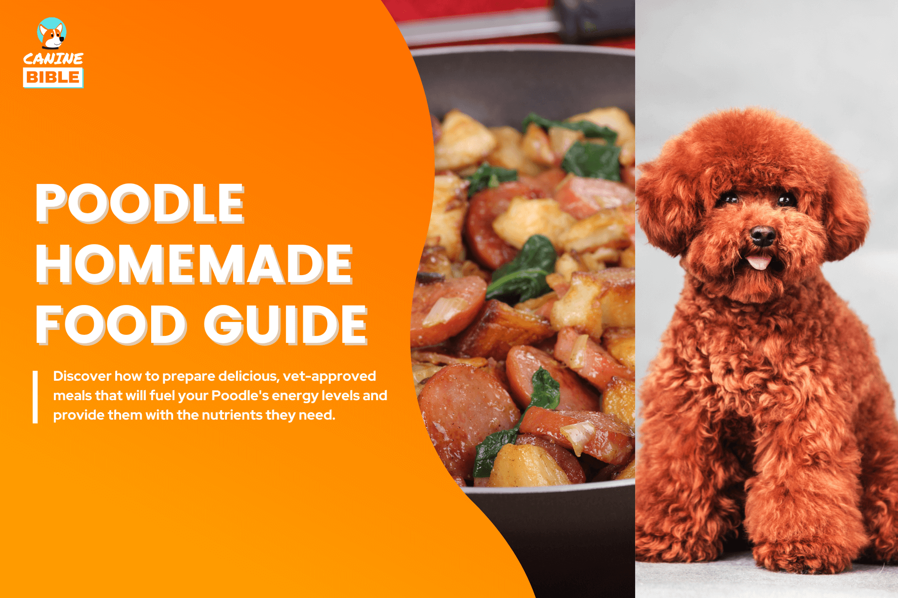 Homemade Dog Food Recipes For Poodles