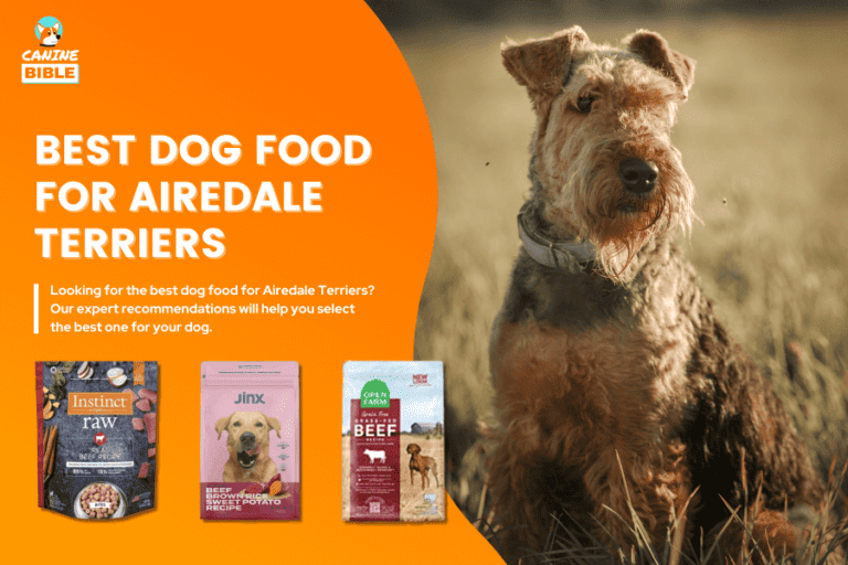 Best Dog Food For Airedale Terriers: Perfect Picks & Reviews