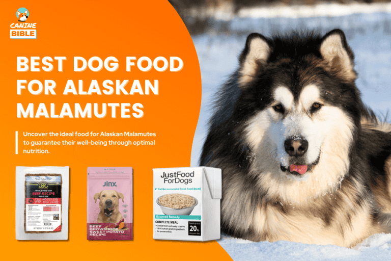 Best Dog Food For Alaskan Malamutes 2023 [Only Top Picks]