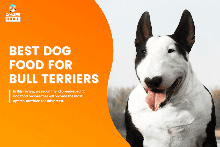 Best Dog Food For Bull Terriers