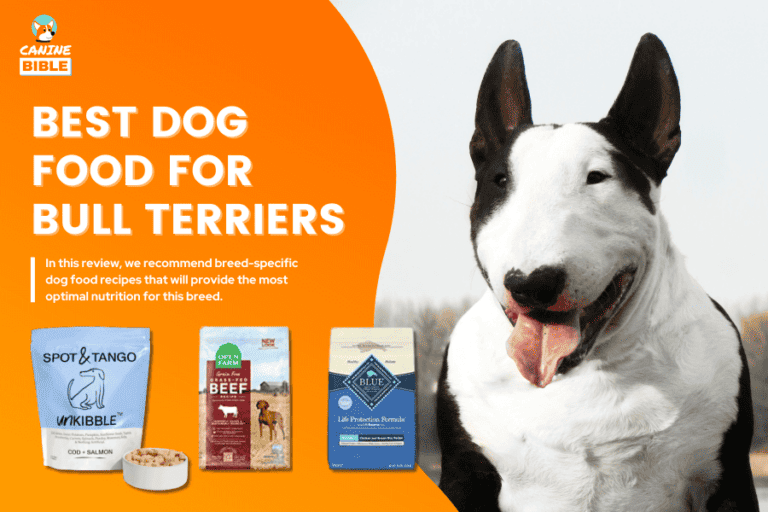 Best Dog Food For Bull Terriers 2024: For Adults, Puppies, Allergies, Skin & More