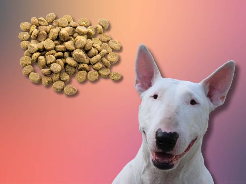 Best Dog Food For Bull Terriers chapter 2