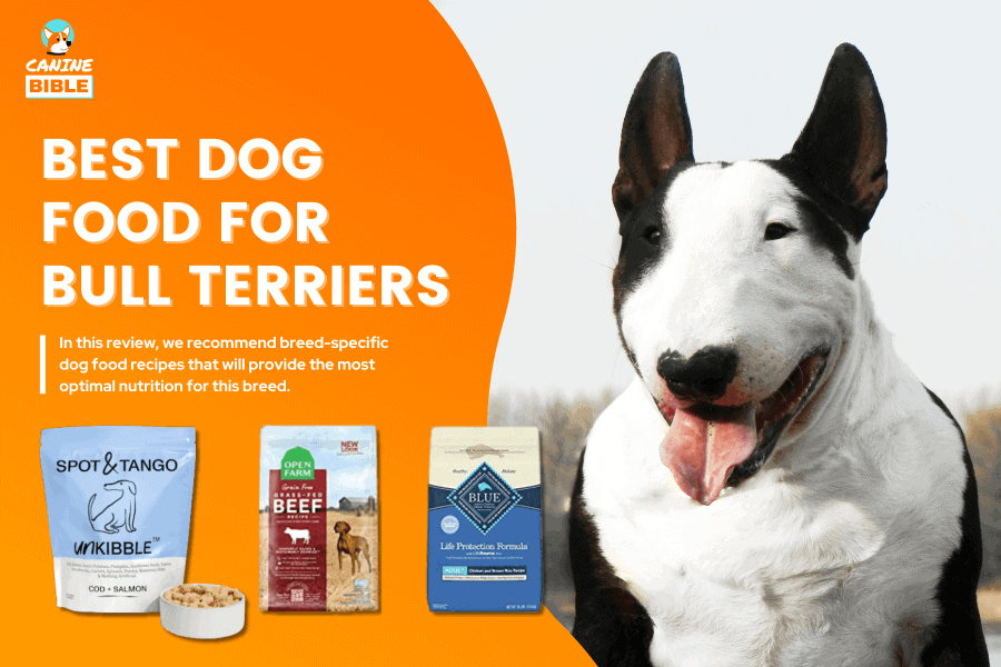 Best Dog Food For Bull Terriers