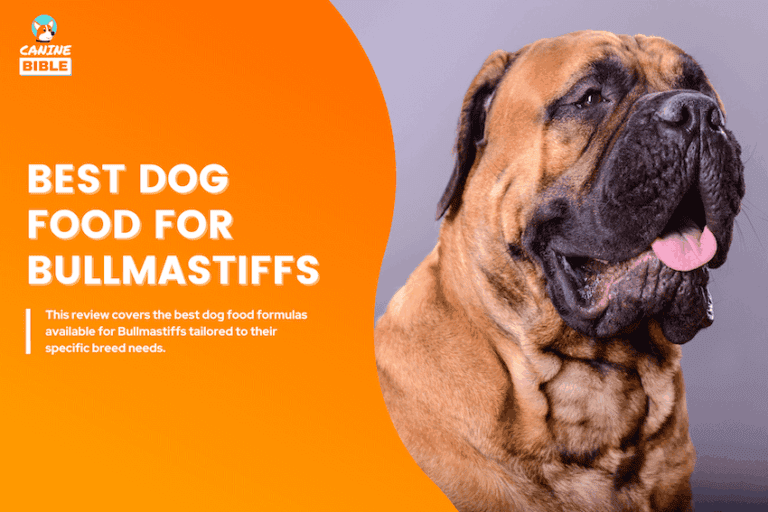 Best Dog Food For Bullmastiffs