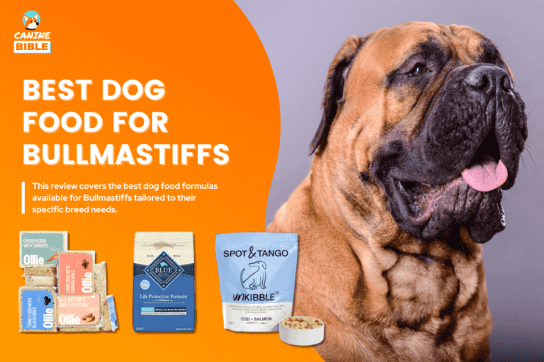 Best Dog Food For Bullmastiffs 2024: Adult, Puppy, Senior & More