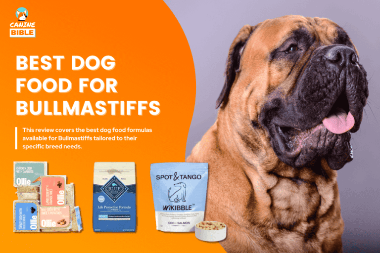 Best Dog Food For Bullmastiffs