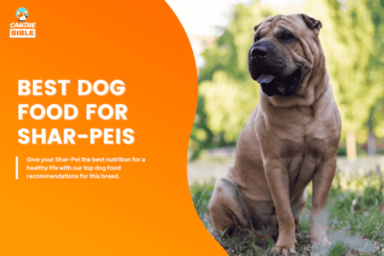 Best Dog Food For Chinese Shar-Peis