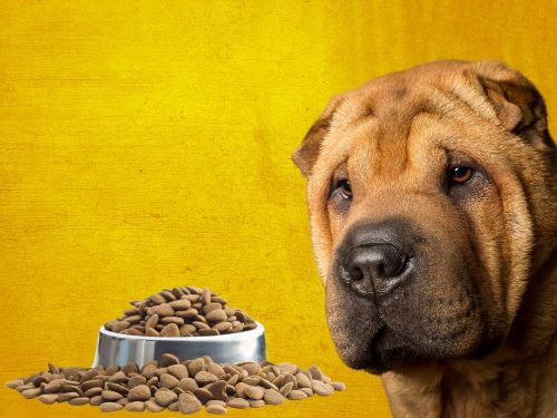 Best Dog Food For Chinese Shar-Peis chapter 2