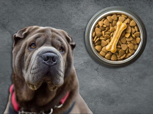 Best Dog Food For Chinese Shar-Peis chapter 3