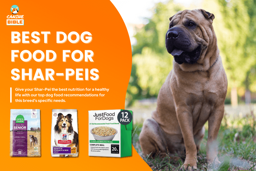 Best Dog Food For Chinese Shar-Peis