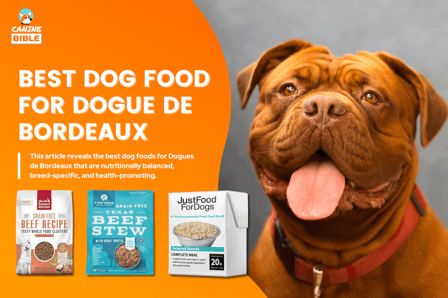 Best Dog Food For Dogue de Bordeaux