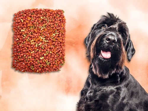 Best Dog Food For Giant Schnauzers chapter 2