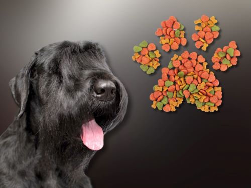 Best Dog Food For Giant Schnauzers chapter 3