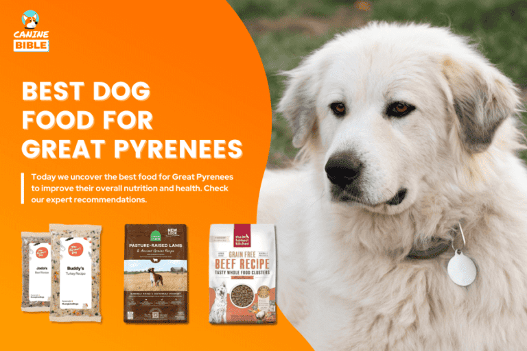 Best Dog Food For Great Pyrenees 2024: Adult, Puppy, Sensitivity, Allergy, Wet & More