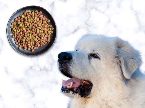 Best Dog Food For Great Pyrenees chapter 3