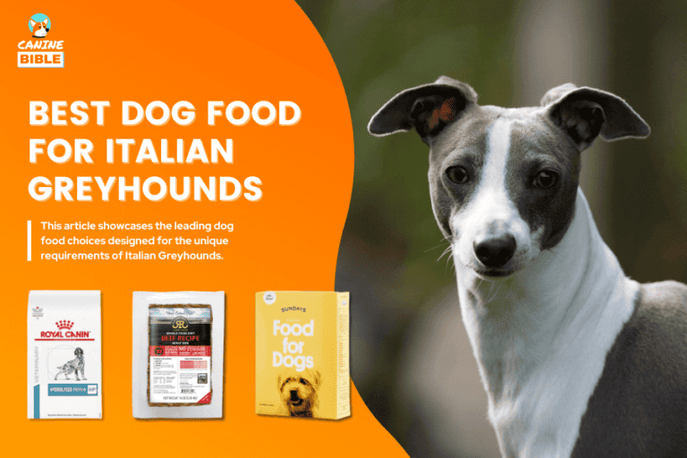 Best Dog Food For Italian Greyhounds 2024: Top Pikcs & Reviews